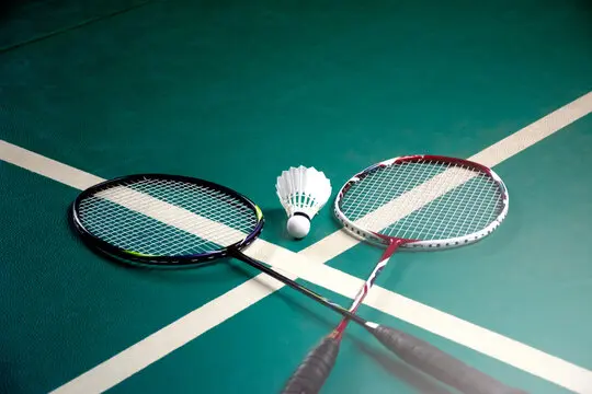 Web Designer's Guide to Build Badminton Racket Websites