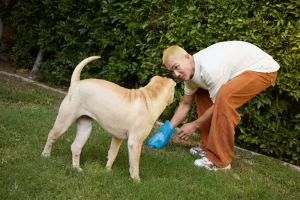dog scooting but glands fine
